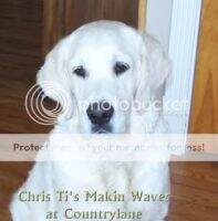 Chris Ti's Makin Waves At Countrylane