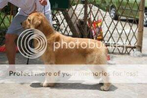 Xanthos Spirit Of Laurell