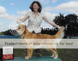 Int'l Ch UKC Ch Voyager's Fantasy X-Change