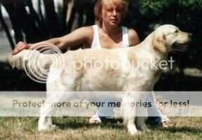 Rus Bel. Ch. Nicoly des Fields De Mauny Rus Bel. Ch. Nicoly des Fields De Mauny