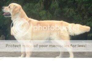 Garbank Lislone Marquis