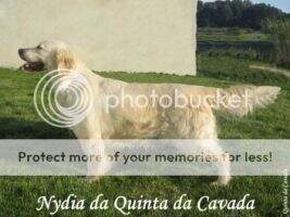 Nydia da Quinta da Cavada