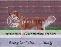 Artistry's Born To Run