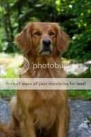 Light Farm's Purdey Browne ***