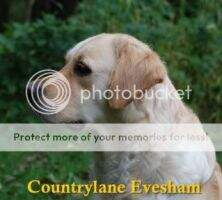 Countrylane Evesham