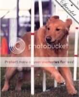 Sprocket G Beatty