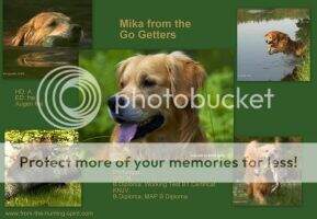 Mika from the Go-Getters