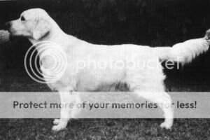 Alphinbrook Nelson