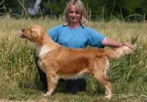 Rip Double Willow Good Mood