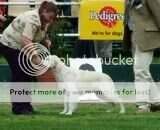 Emperosgold Lady Muck