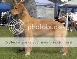 Lindy's Bonnie Inghea O Skye