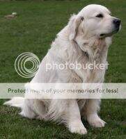 Sir Casper Of The Morning Valley Sir Casper Of The Morning Valley