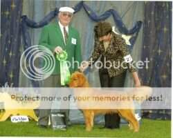 Ch. Riverroad's Play'N Ruff 'N Tuff