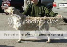 BY RUS CH RUS CH CW CH MAC CH Ajax of Anavy BY RUS CH RUS CH CW CH MAC CH Ajax of Anavy