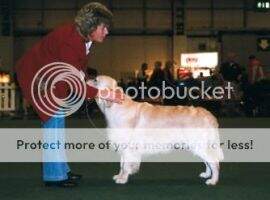 Linoaks Highasakite JW Linoaks Highasakite JW