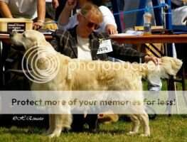 Gatchells Freedom By Stormerick Gatchells Freedom By Stormerick