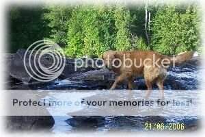 Syercroft's River Walker