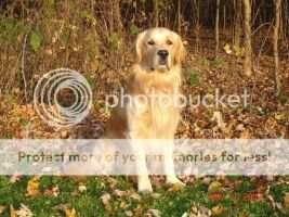 U-CD Meadowpond Jasper On the Run TKN CCA