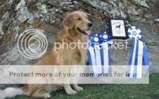 Afire's Pedal to the Medal CDX;