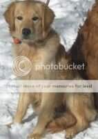 Great Plains Rocket