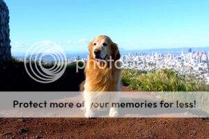 Casadeloro's Cool Breeze
