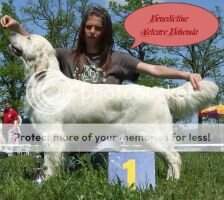 CZ FTCh CZ Benedictine Vetcare Bohemia National winner