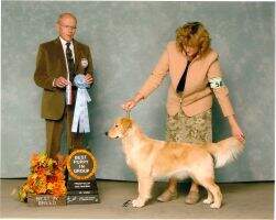 Tashora To Boldly Go