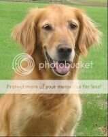 Mioaks Dutchmans Ivy *** Mioaks Dutchmans Ivy ***