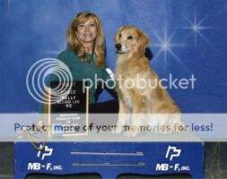 Sunnyside's Lil Lady Luck CGCA CGCU CCA TDIA AKC Achiever Dog