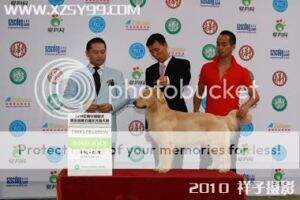 CH.CN A.C.Dynasty Huangfeng's Glamorous Eyes