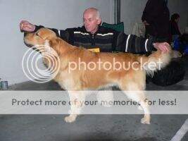 Archibald z Muncifaje