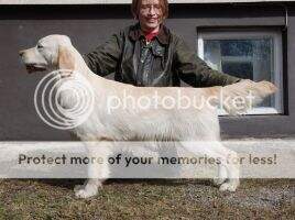 Honey Is Friendly