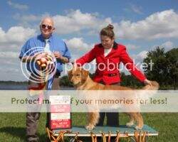 Gemini's Kilkenny Colleen CCA RN Gemini's Kilkenny Colleen CCA RN