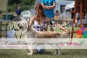 BALT W'13 CH EST & BALT& BLR & RUS CH FT Duck Rogerwiek My Fair Lady