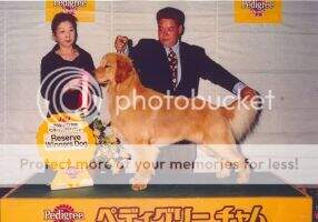 JKC Ch Mariner Golden Jp Ankrist Toproad JKC Ch Mariner Golden Jp Ankrist Toproad