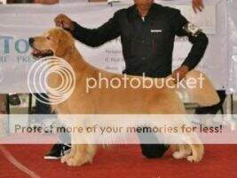 Ina.Ch. Mike Jagger von Paramitha