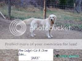 Pine Ledge's Git R Done Jake Pine Ledge's Git R Done Jake