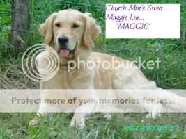 Church Mtn's Sweet Maggie Lue