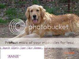 Church Mtn's Sure Shot Annie