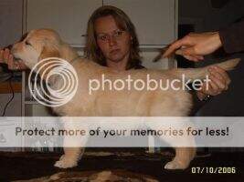 Rogerwiek Famous Frodo