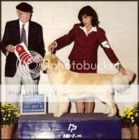 Rumours Tommy Girl