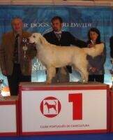 PT CH Cal Arana Hans Castorp JP 05 PT CH Cal Arana Hans Castorp JP 05