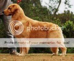 Kobe Bryant Mulder Golden Friend Forever Kobe Bryant Mulder Golden Friend Forever