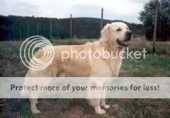 Finley of Killarney Finley of Killarney