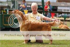 Stormerick Don Sebastian JW ShCM Stormerick Don Sebastian JW ShCM