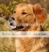 Happymover Elina Phoebe