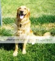Sir Rudy Rooster Rooter Chex