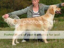 Glenrioch Bumps a Daisy