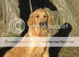 Barkin Barnyard's Maryann Barkin Barnyard's Maryann