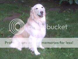 Laurell's Goodnight Sweet Angel Laurell's Goodnight Sweet Angel